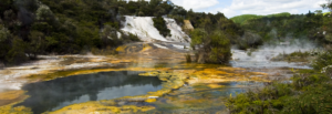 Geyserland Scenic Reserve